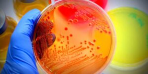 شرح دروس رشته زیست شناسی میکروبی - میکروبیولوژی